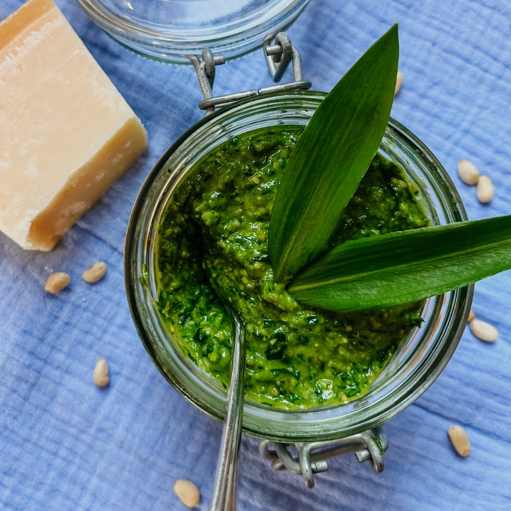 Leckere Bärlauch Pesto für den Frühling