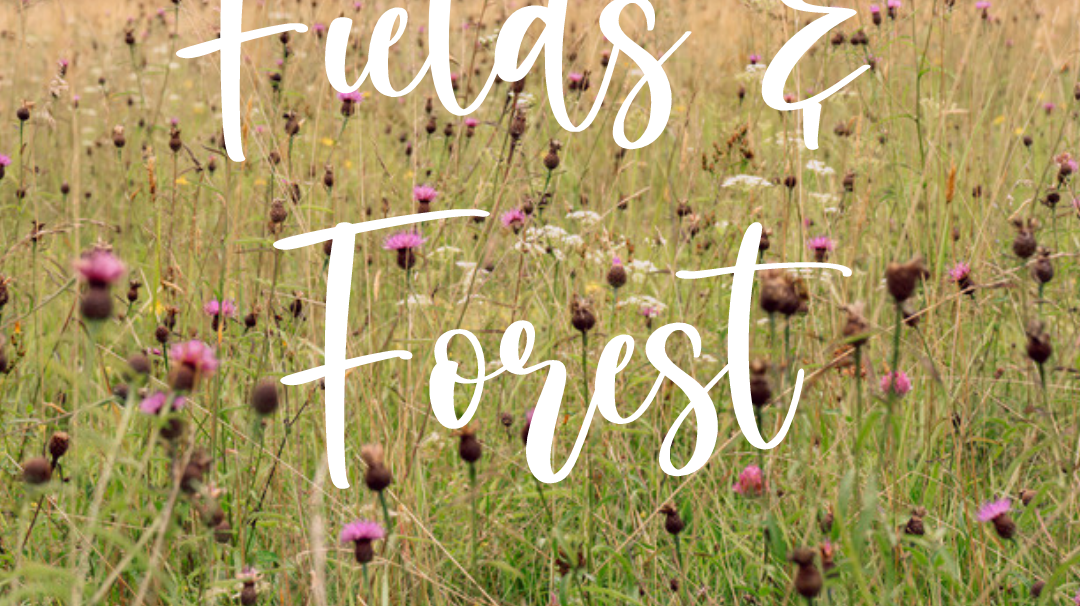 FIELDS & FOREST: Unsere Herbst-/Winterkollektion 2021-22