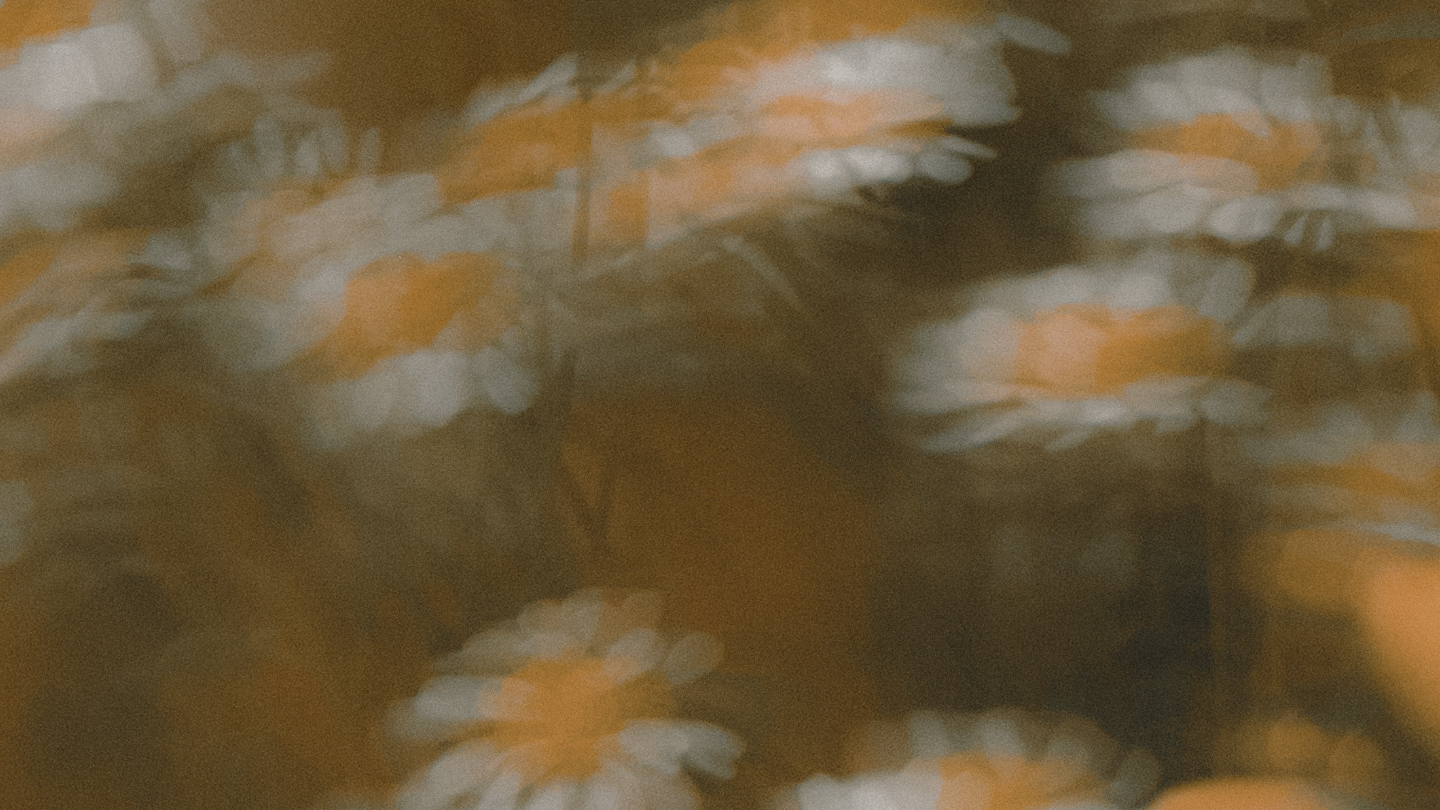 sommer_sale_banner